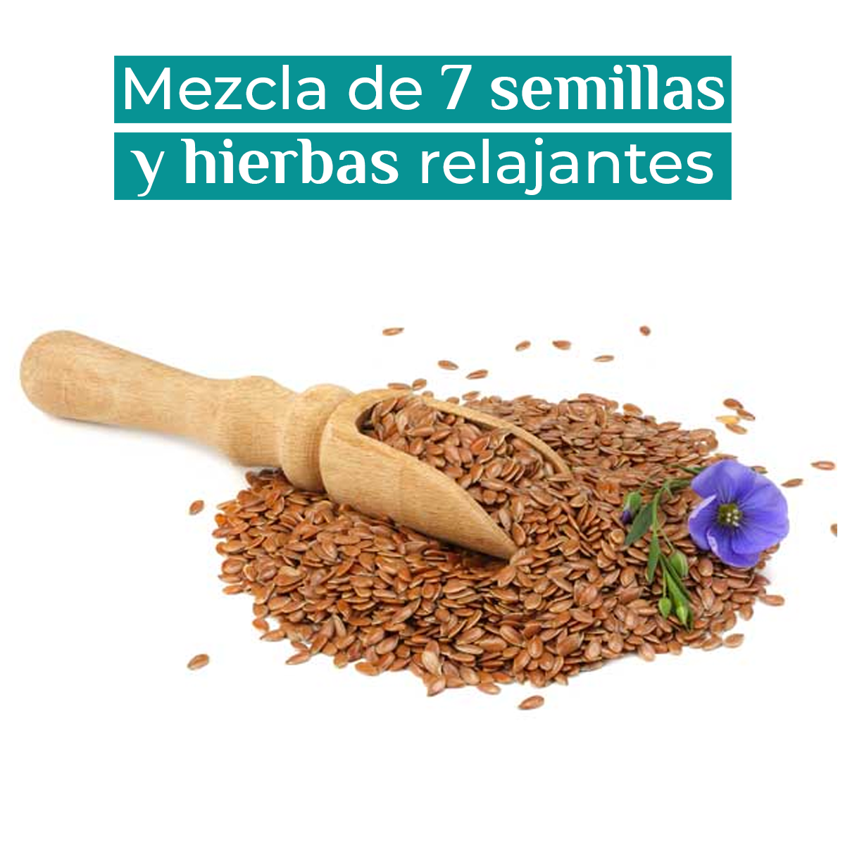 Cojines clearance de semillas
